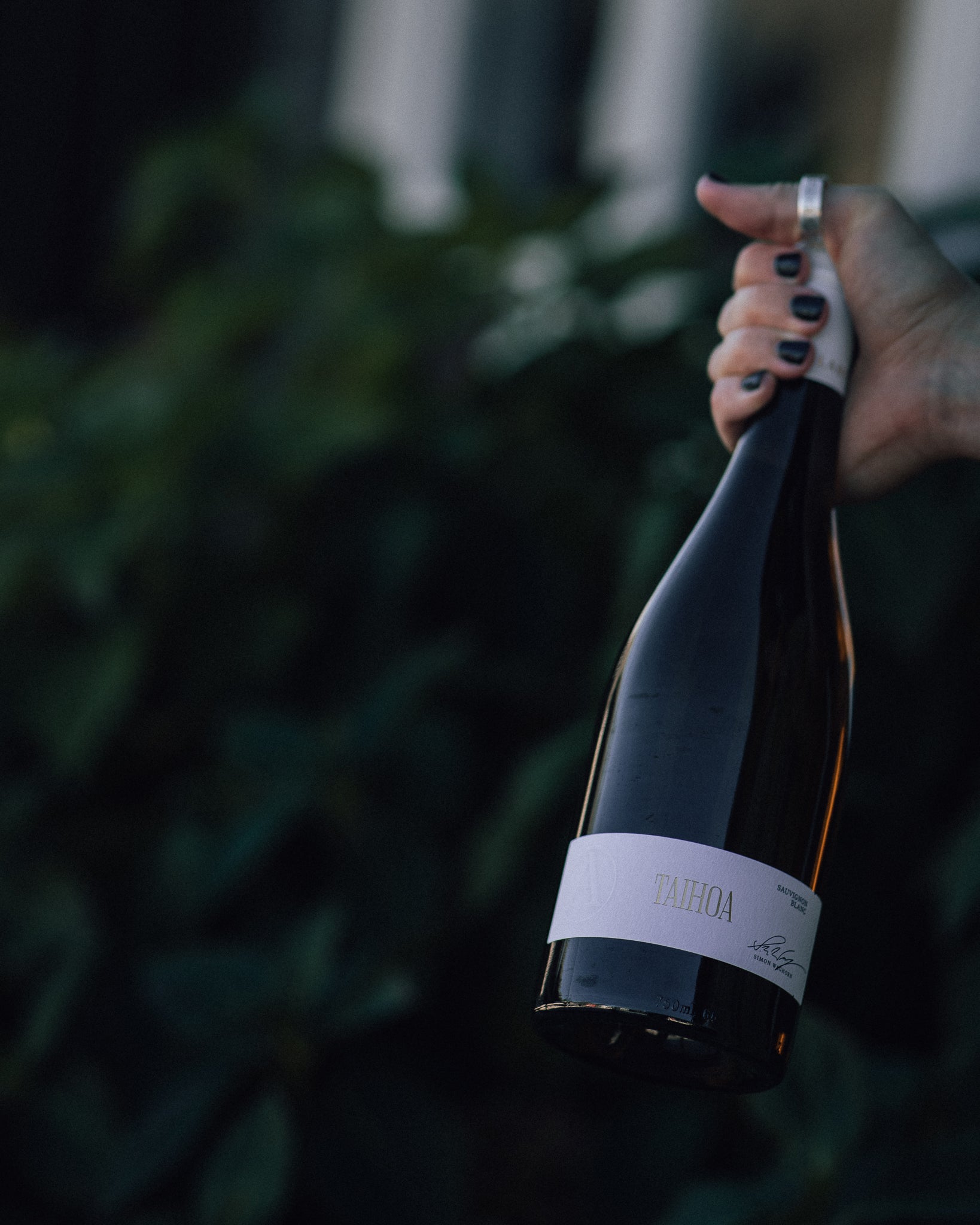 Astrolabe Taihoa Sauvignon Blanc 2024