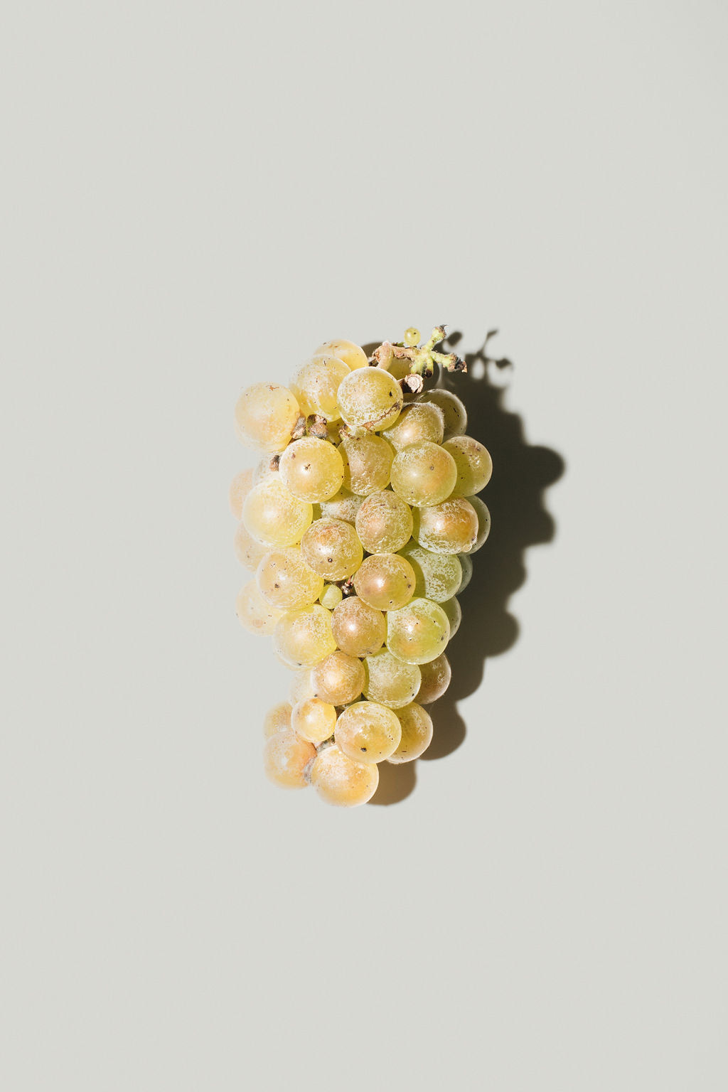 Grava Martinborough Sauvignon Blanc 2022