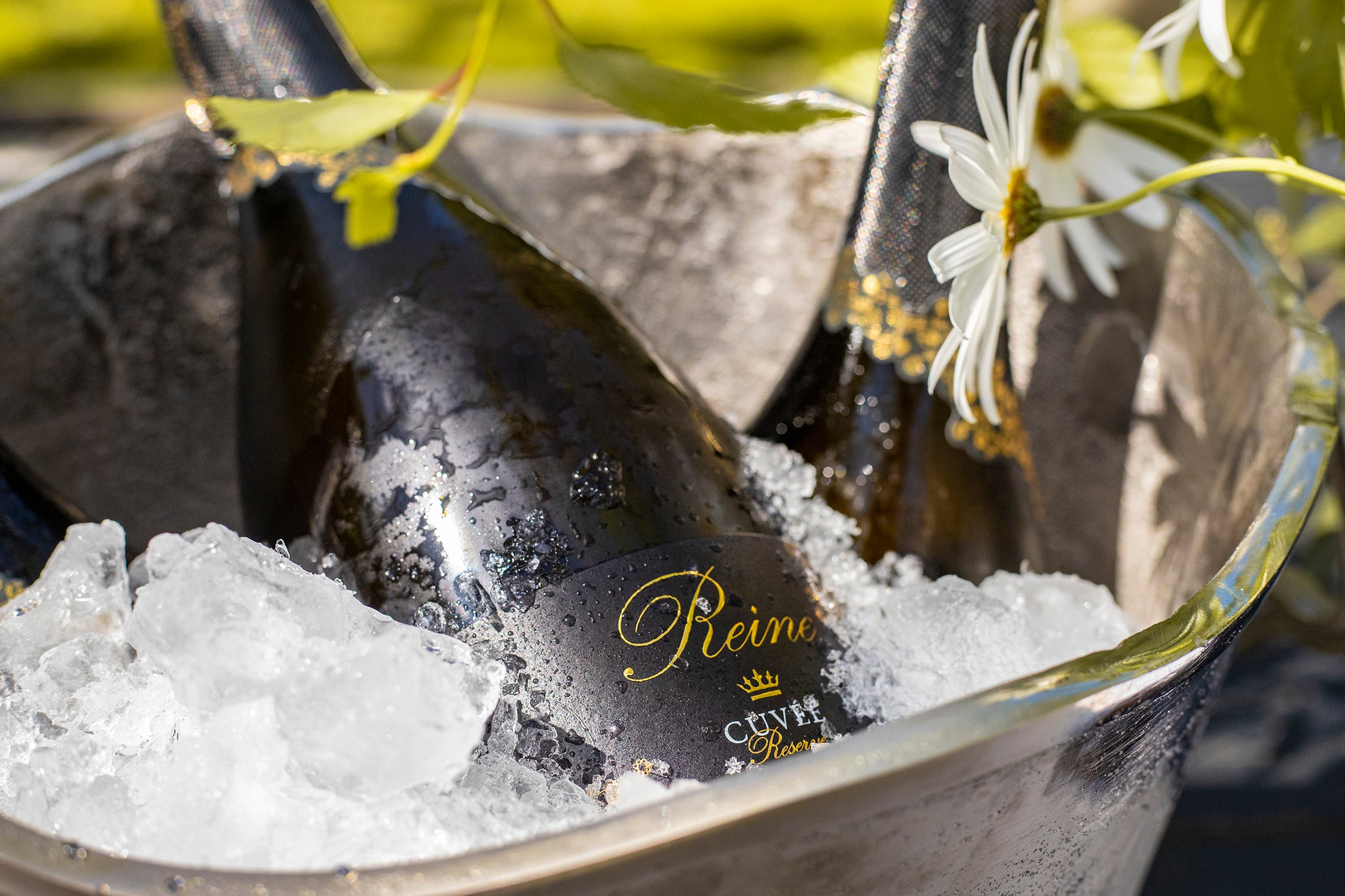 No. 1 Family Estate Reine Cuvée NV