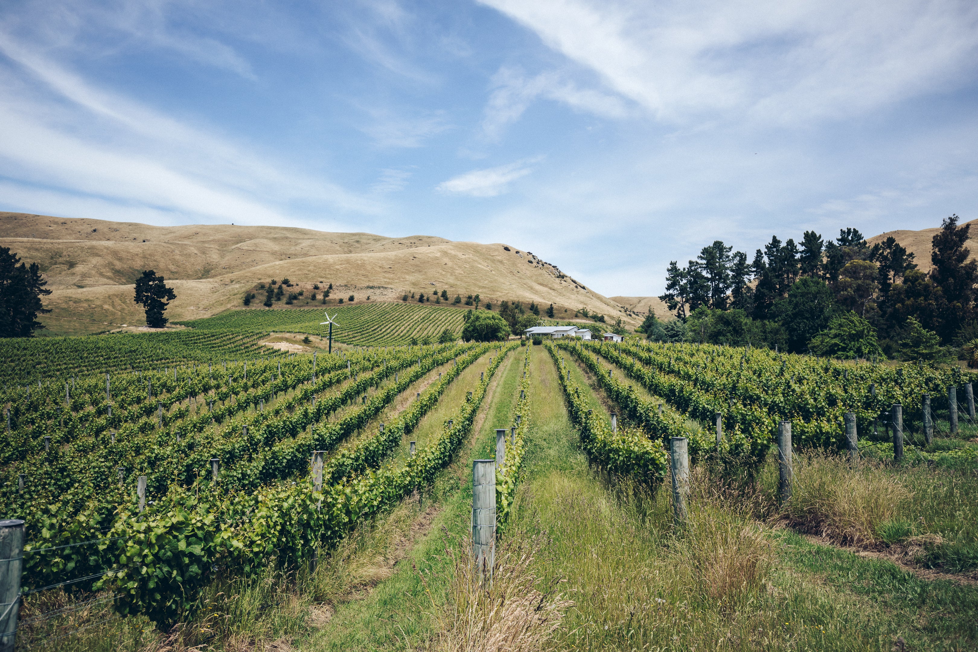 Astrolabe Southern Valleys Sauvignon Blanc 2024