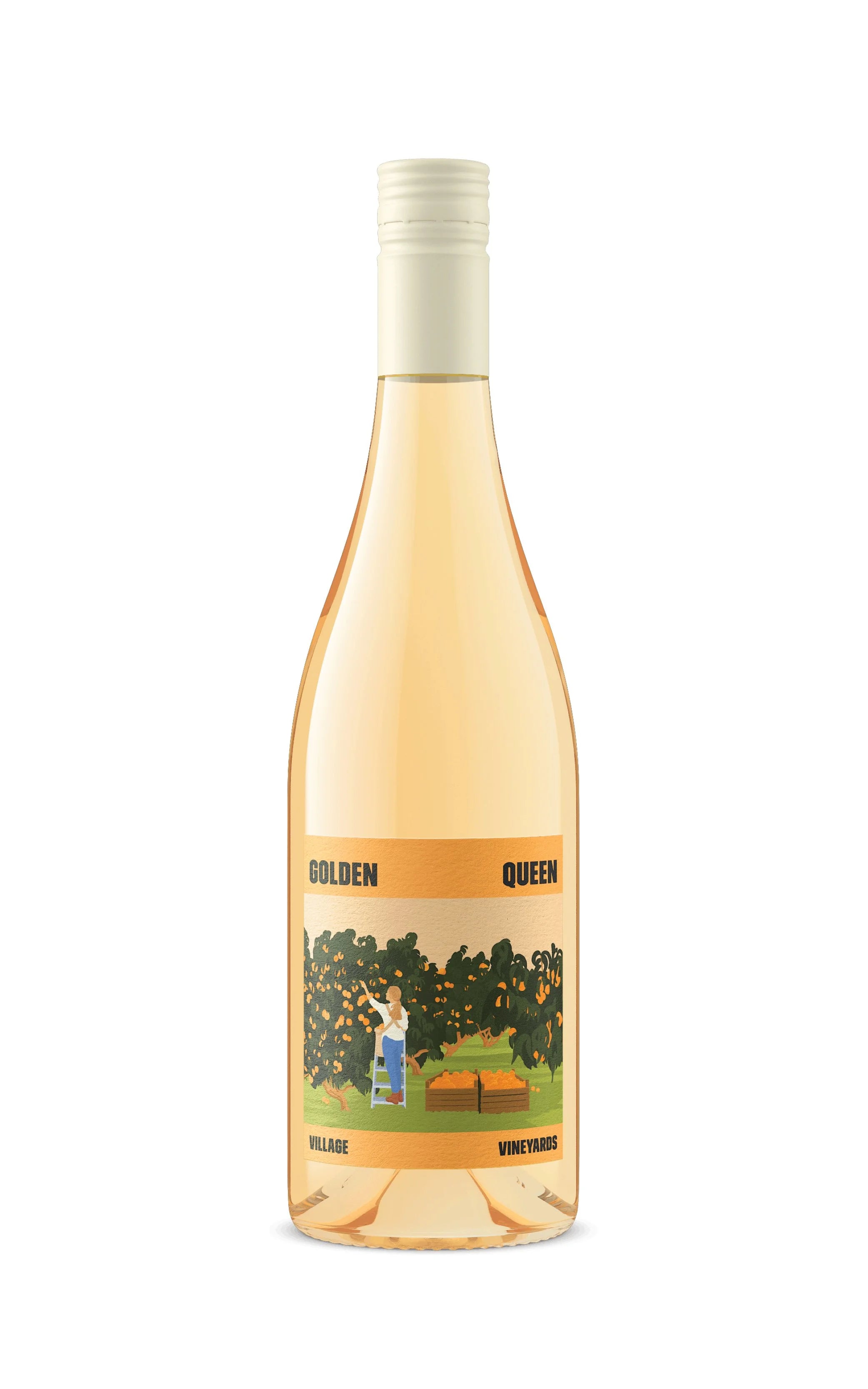 Village Vineyards Golden Queen Hawkes Bay Pinot Gris 2024