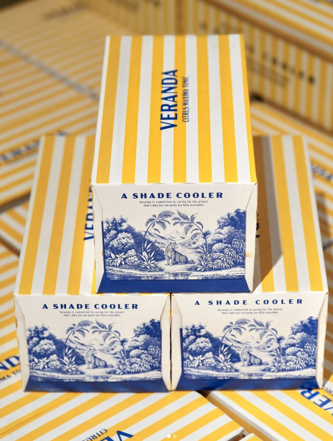Veranda Citrus Maxima Tonic 150ml