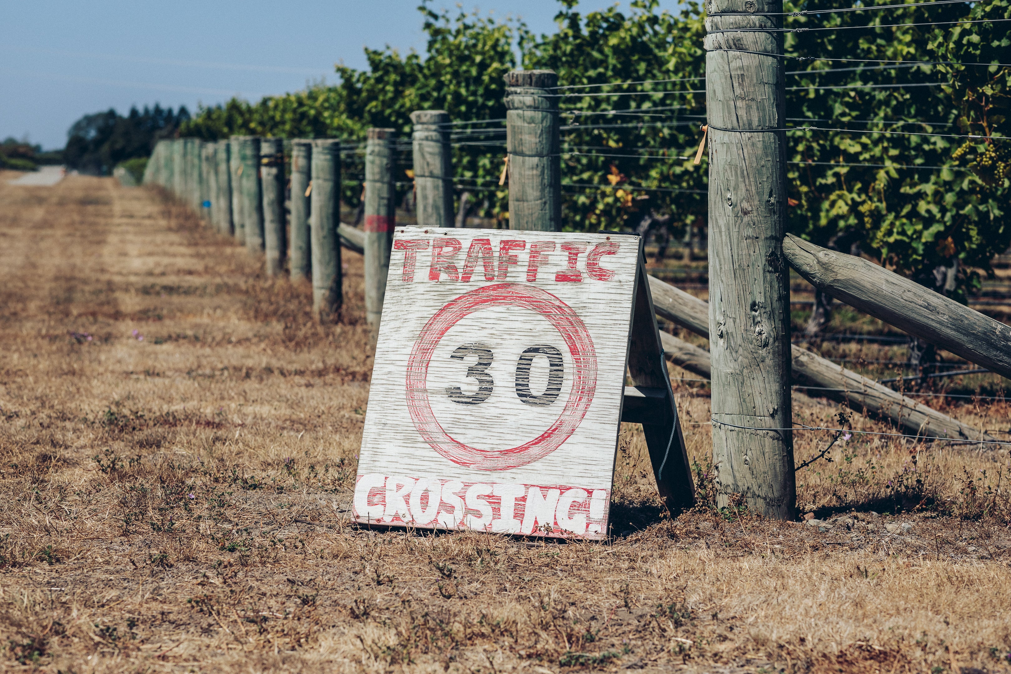 Astrolabe Waihopai Valley Comelybank Pinot Noir 2023
